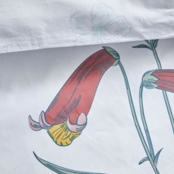 Parure de lit 2 personnes - TODAY - Sunshine 16.20 - 220 x 240 cm - 100% Coto...