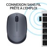 Souris - Sans fil - Logitech - M170 - Gris - Ambidextre
