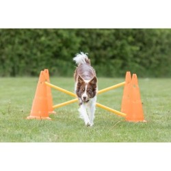 TRIXIE Lot de 3 Activités d'obstacle - Ø 23 × 30 cm - 78 cm - Orange et jaune...