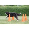 TRIXIE Lot de 3 Activités d'obstacle - Ø 23 × 30 cm - 78 cm - Orange et jaune...