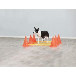 TRIXIE Lot de 3 Activités d'obstacle - Ø 23 × 30 cm - 78 cm - Orange et jaune...