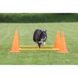 TRIXIE Lot de 3 Activités d'obstacle - Ø 23 × 30 cm - 78 cm - Orange et jaune...