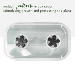 ELHO Bac a culture Green Basics Allin1 Large - L 39 x B 23 x H 15 cm - cultur...