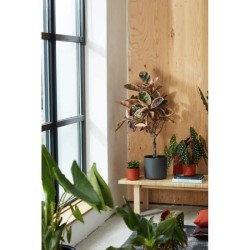 ELHO Pot de fleurs rond B.FOR Soft - Plastique - Ø29,5 x H 27,6 cm - Anthracite