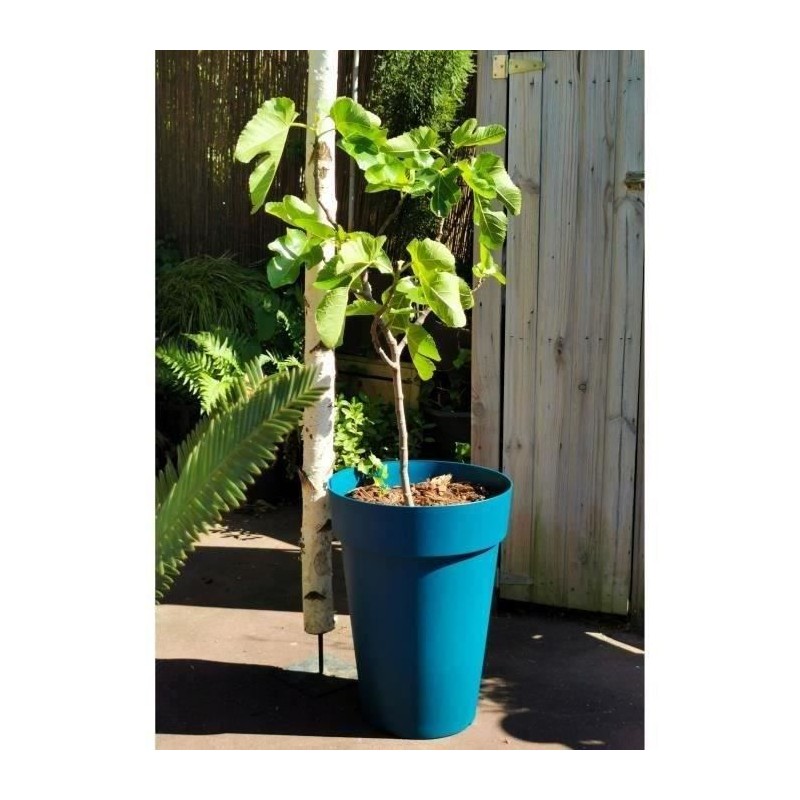 Pot de fleurs - RIVIERA - SOLEILLA - Plastique - H52 x D39 cm - Bleu