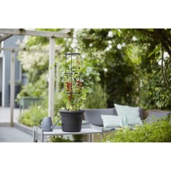 ELHO Pot a tomate Green Basics - Ø 33 x 25 cm - Noir vif