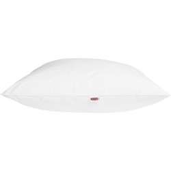 DODO Oreiller LUXOR 60x60 cm - 100% Coton - Effet Duvet