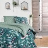 Parure de lit - TODAY - Sunshine - 119474 - 2 personnes - 260x240cm - Coton -...