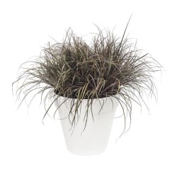 ELHO Pot de fleurs rond avec roues Loft Urban - Ø 38.5 x 35,3 cm - Blanc
