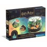 Terrarium Harry Potter - CLEMENTONI - Cabane de Hagrid a reproduire