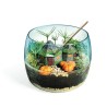 Terrarium Harry Potter - CLEMENTONI - Cabane de Hagrid a reproduire