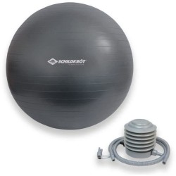 Ballon d'exercice - SCHILDKRÖT - Fitness et Yoga - Diametre 75 cm - Pompe inc...