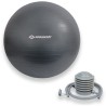 Ballon d'exercice - SCHILDKRÖT - Fitness et Yoga - Diametre 75 cm - Pompe inc...