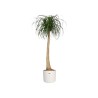 ELHO Pot de fleurs rond B.for Soft 35 - Ø 35 x H 32 cm - Intérieur - 100% rec...