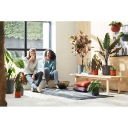 ELHO Pot de fleurs rond B.for Soft - Noir - Ø 35 x H 32 cm - Intérieur - 100%...