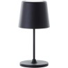 Lampe a poser LED KAAMI BRILLIANT - Noir - Extérieur - 2W - IP44 - Métal et p...