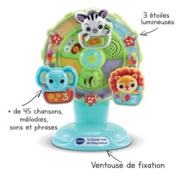 VTECH BABY - La Grande Roue des Baby Loulous - Roue musicale avec