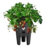 ELHO Pot de culture a fraises Green Basics - Ø 33 x H 42 cm - Culture et réco...