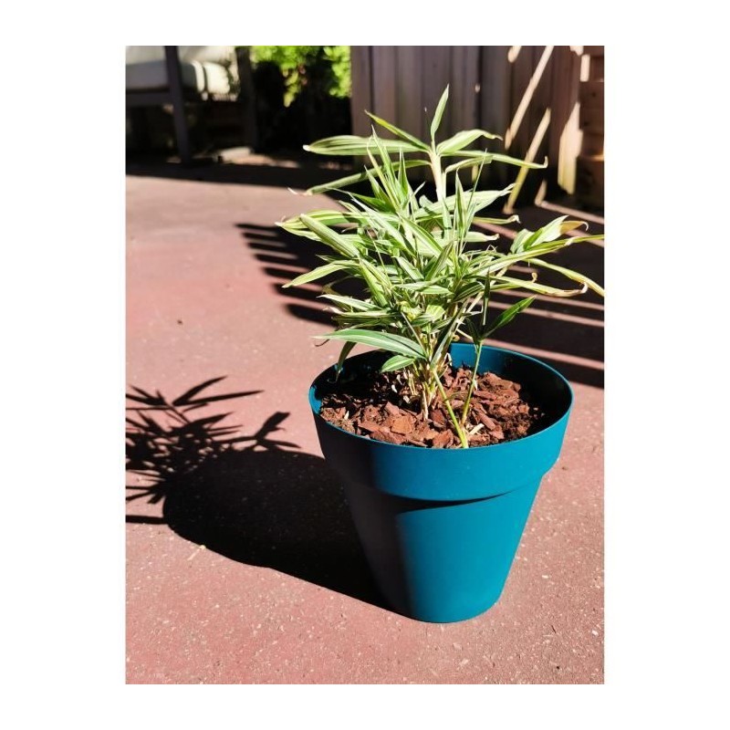 Pot de fleurs rond - RIVIERA - SOLEILLA - Plastique - D59 x H54 cm - Bleu