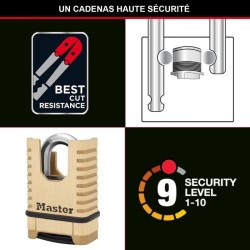 Cadenas en Laiton Massif Haute Sécurité - MASTER LOCK - M1177EURDCC - Anse Pr...