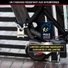 Cadenas en Laiton Massif Haute Sécurité - MASTER LOCK - M1177EURDCC - Anse Pr...