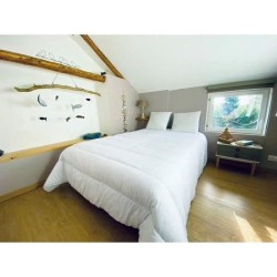 DODO Couette tempérée 300gr/m² 140x200 cm - Protection anti punaise, anti aca...