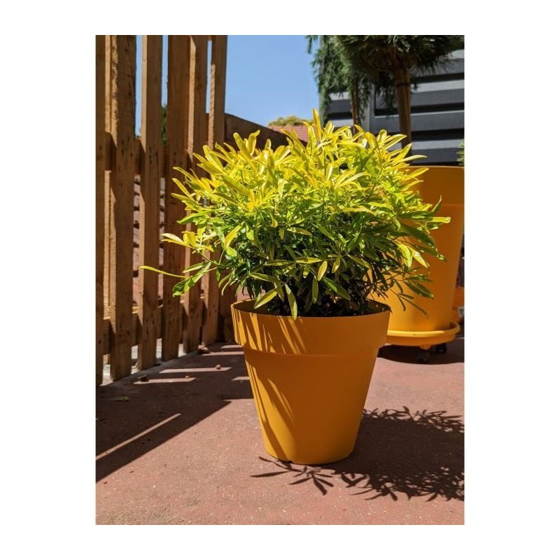 Pot de fleurs rond RIVIERA - SOLEILLA - Plastique - D59 x H54 cm - Jaune