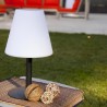 Lampe de table solaire et rechargeable - LUMISKY - STANDY MINI SOLAR RGB - H3...