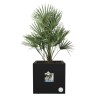 ELHO Bac a fleurs Vivo Next Square 30  - Ø 30 x H 29 cm - Intérieur,Extérieur...