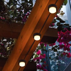 10 mini-spots lumineux solaires a piquer - LUMISKY - SOLIRAY - 12 m - LED bla...