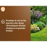 Ecorces De Pin - OR BRUN - Protege Le Sol - Limite Les Mauvaises Herbes - Con...