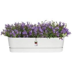 ELHO Jardiniere ovale GREENVILLE - Plastique recyclé - Ø70 x H 18,48 cm - Lea...