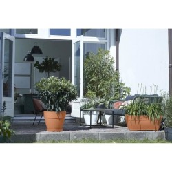 ELHO Bac a fleurs Terrasse Vibia Campana - L 77 x W 35 x H 33 cm - Extérieur ...