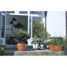 ELHO Bac a fleurs Terrasse Vibia Campana - L 77 x W 35 x H 33 cm - Extérieur ...