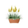 ELHO Bac a fleurs Terrasse Vibia Campana - L 77 x W 35 x H 33 cm - Extérieur ...