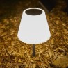 Lampe de table solaire 2 en 1 a planter ou a poser - LUMISKY - BOUFFANT - H62...