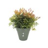 ELHO Pot de fleurs Loft Urban - Plastique - Réservoir - Ø48,5x 44,5cm - Vert