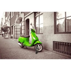 Ancre de sécurité - BURG WACHTER - SA 1280 SB - Acier, fixation murale/sol, a...