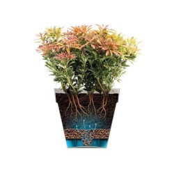 ELHO Pot de fleurs Loft Urban rond Haut - Ø 42 x H 56 cm - Extérieur - 100% r...