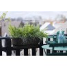 ELHO Balconniere Greenville Easy Balcony 52 - Living Noir - Balcon - L 21.2 x...