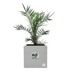ELHO Bac a fleurs Vivo Next Square 30  - Ø 30 x H 29 cm - Intérieur,Extérieur...