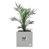 ELHO Bac a fleurs Vivo Next Square 30  - Ø 30 x H 29 cm - Intérieur,Extérieur...