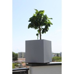 Bac a fleurs - RIVIERA - Granit Carré - Plastique - 40x40 cm - Stone