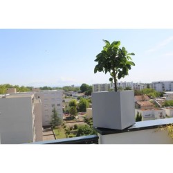 Bac a fleurs - RIVIERA - Granit Carré - Plastique - 40x40 cm - Stone