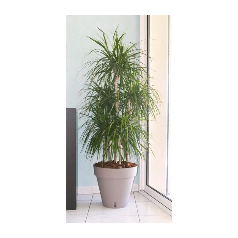 Pot de fleurs avec réserve d'eau - RIVIERA - Loft Rond - Ø 49 x H 45 cm -Taupe