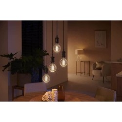 Philips Hue White Ambiance, ampoule LED connectée E27 Filament G93