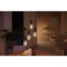 Philips Hue White Ambiance, ampoule LED connectée E27 Filament G93