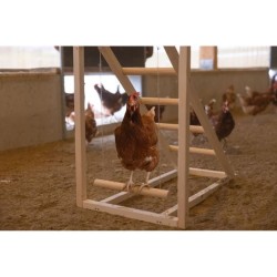 Tour d'escalade pour poules - KERBL - 85 x 55 x 76 cm - Avec balançoire - Ech...