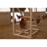 Tour d'escalade pour poules - KERBL - 85 x 55 x 76 cm - Avec balançoire - Ech...