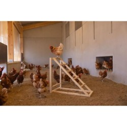 Tour d'escalade pour poules - KERBL - 85 x 55 x 76 cm - Avec balançoire - Ech...